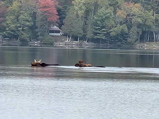 133 Camp Road Sangerville, ME 04479 - Photo 2 of 17 image000001