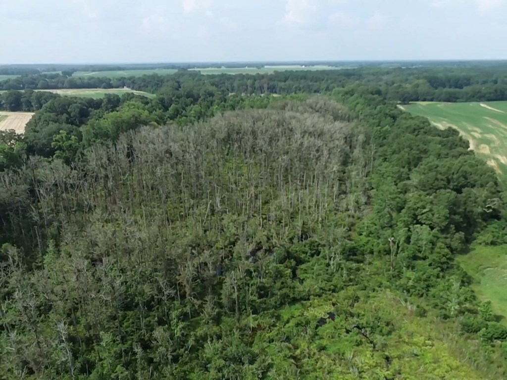 132.3-ac Green Road Dothan, AL 36303 - Photo 19 of 63