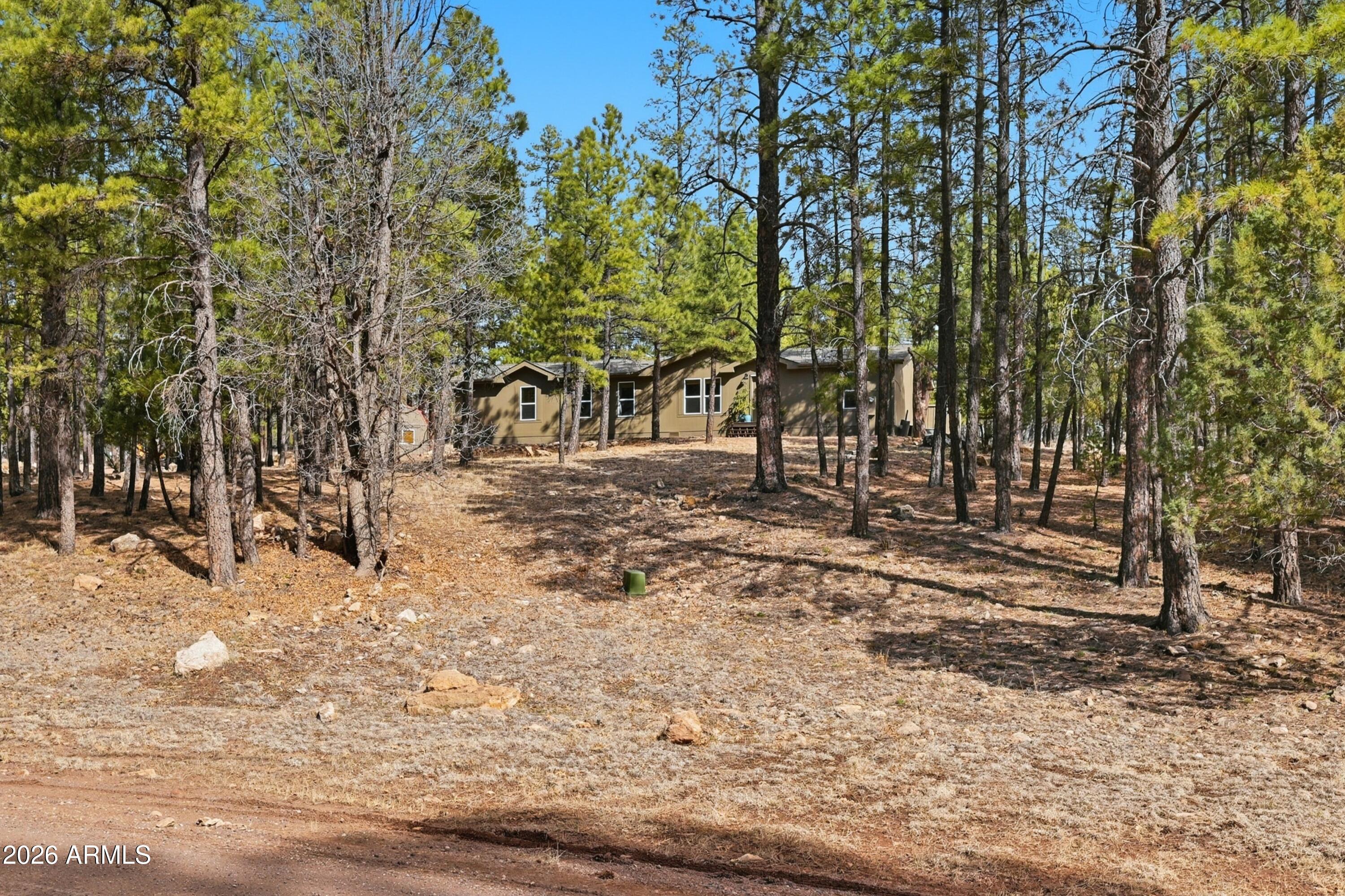 a view of a yard with large trees