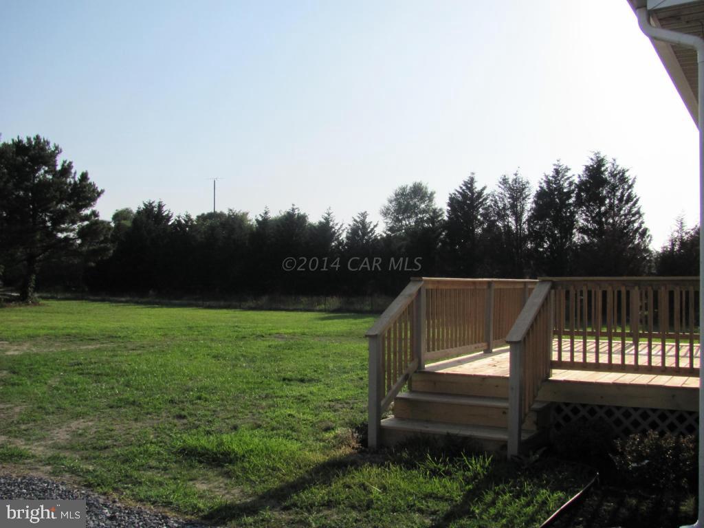 27105 Walnut Tree Road Salisbury, MD 21801 - Photo 5 of 21 a view of a backyard