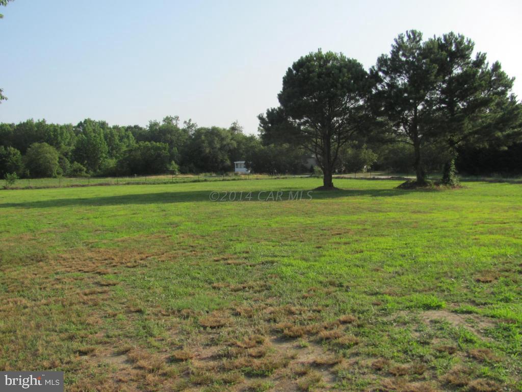 27105 Walnut Tree Road Salisbury, MD 21801 - Photo 6 of 21 a view of a field with a tree in the background