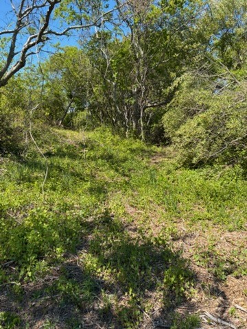 0 Lee's Ridge Road Block Island, RI 02807 - Photo 3 of 3