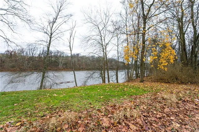 a view of a backyard with large trees