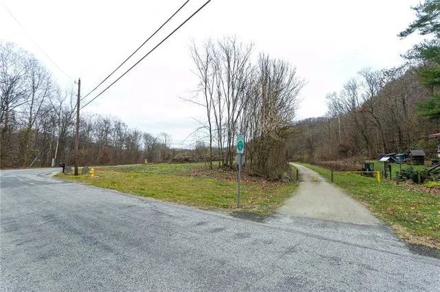 a view of backyard with green space