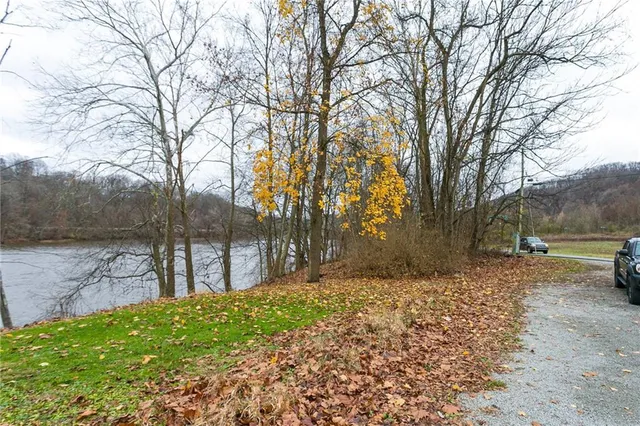 a view of backyard with tree