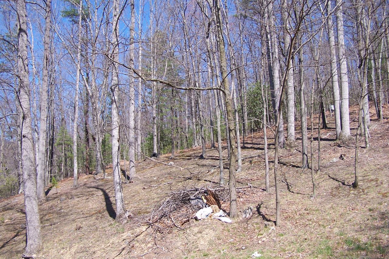 588 Grannys Branch Road New Castle, VA 24127 - Photo 12 of 13 a backyard of a house with chairs and trees