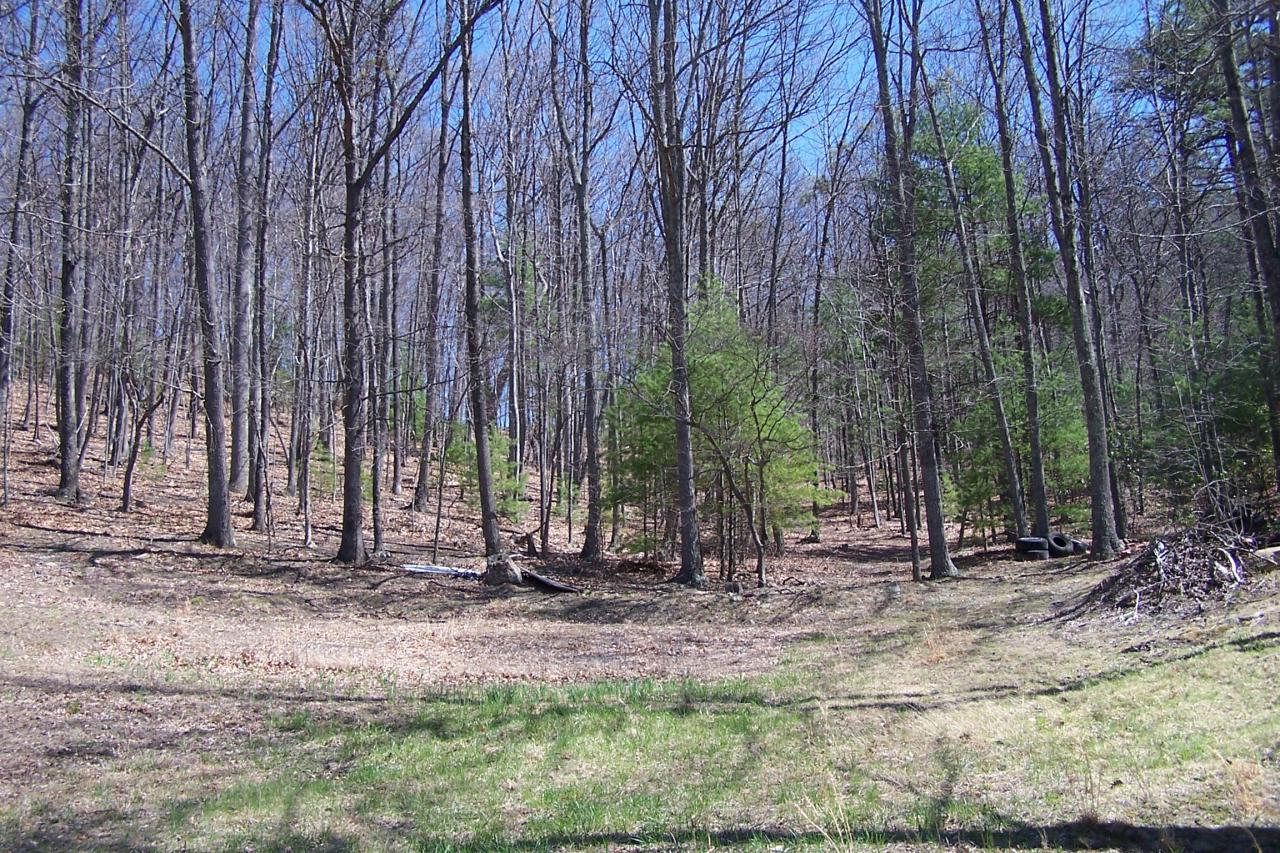 588 Grannys Branch Road New Castle, VA 24127 - Photo 13 of 13 a backyard of a house with lots of green space