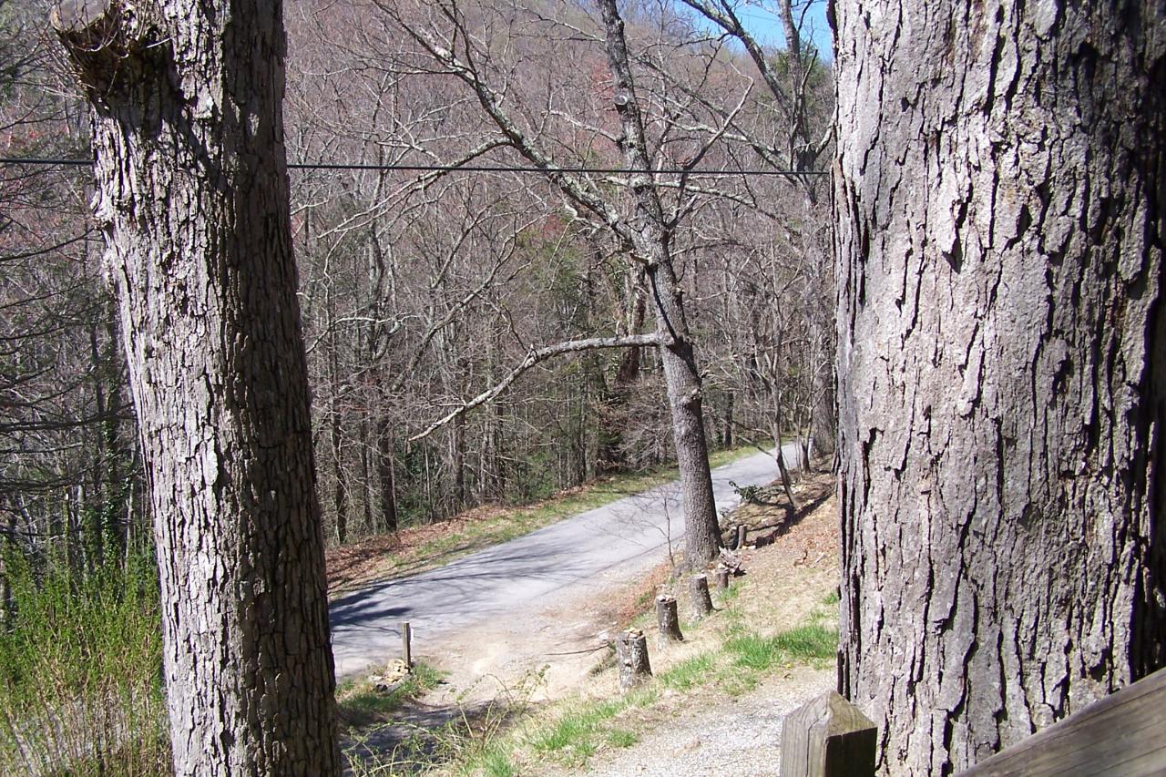 588 Grannys Branch Road New Castle, VA 24127 - Photo 10 of 13 a view of a yard