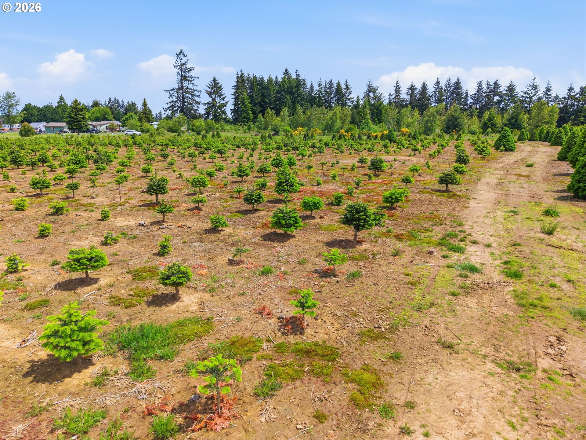 2 Shiloh Road Winlock, WA 98596 - Photo 6 of 16 a view of a bunch of trees and houses