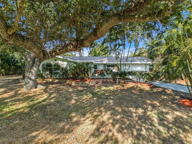 a view of street with large trees