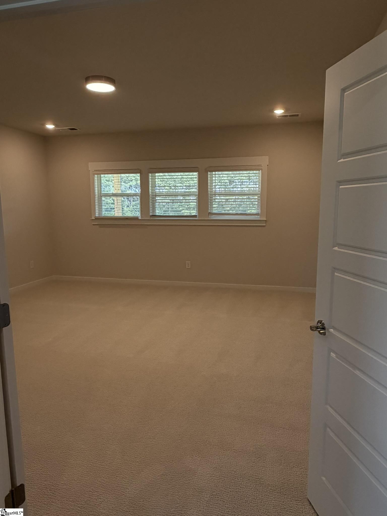 310 Richey Road, Unit SITE 3 Pelzer, SC 29669 - Photo 23 of 48 Gallery Image 23