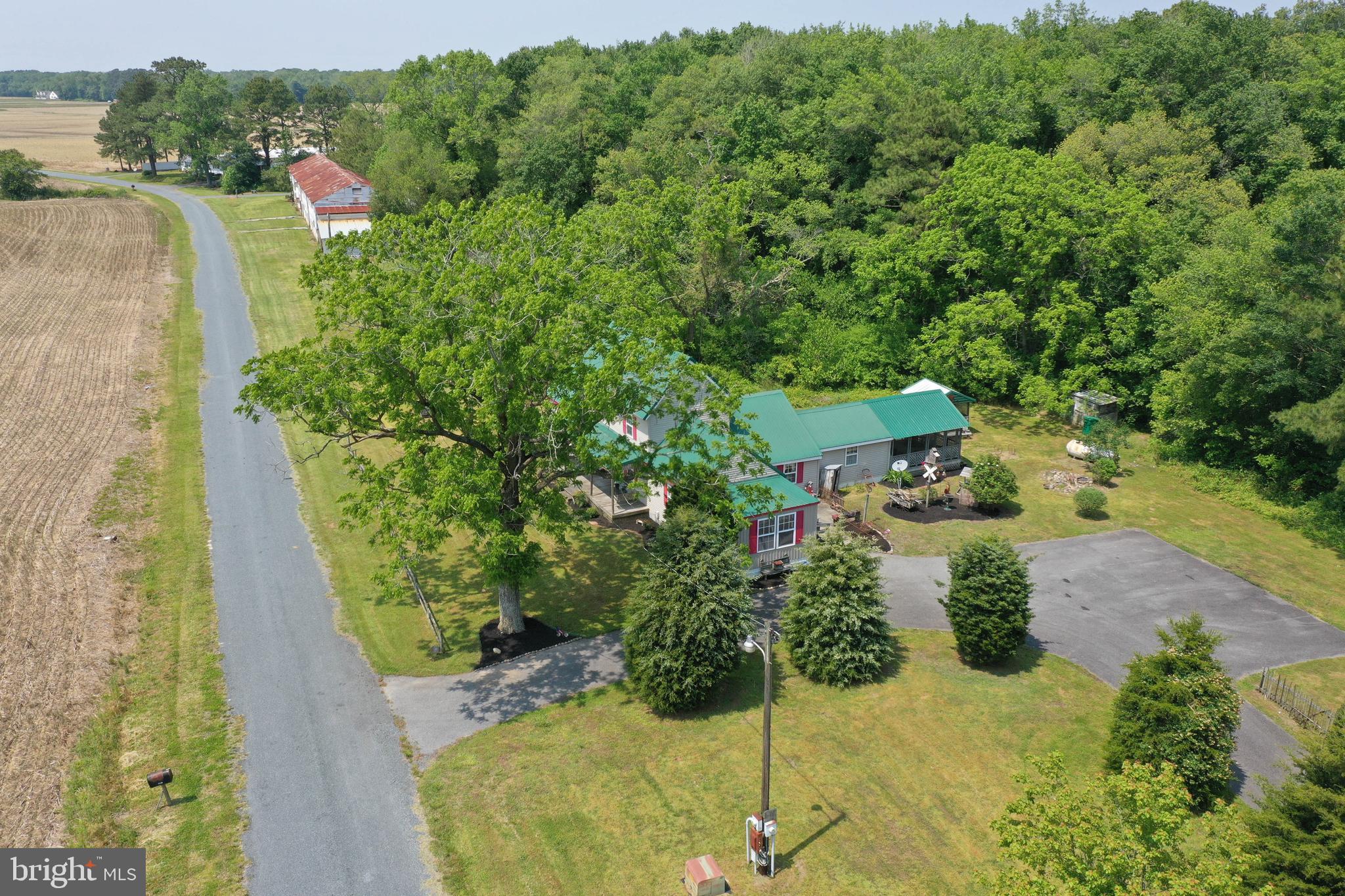 4595 Elmer Davis Loop Road Pittsville, MD 21850 - Photo 4 of 63