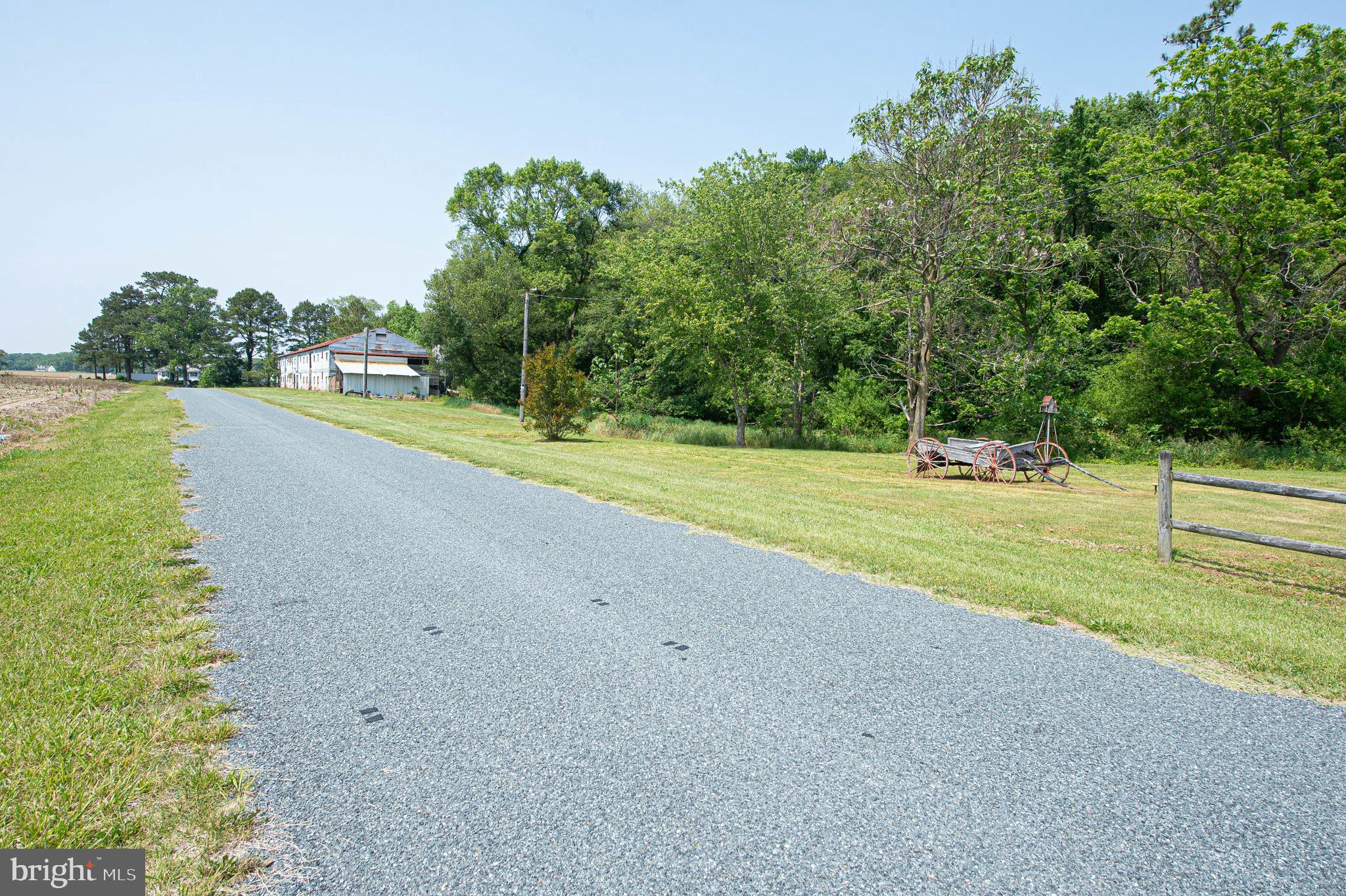 4595 Elmer Davis Loop Road Pittsville, MD 21850 - Photo 57 of 63