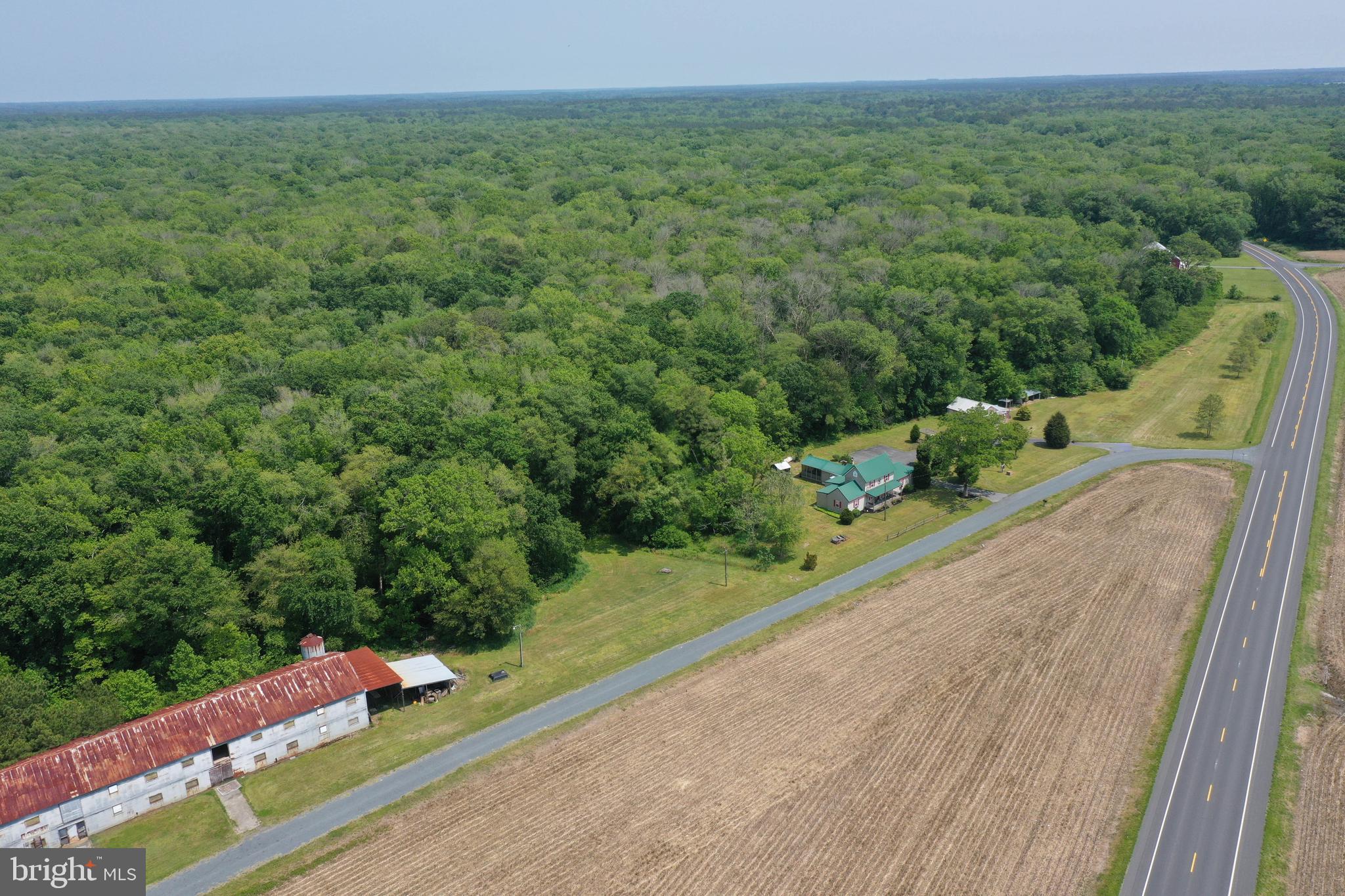 4595 Elmer Davis Loop Road Pittsville, MD 21850 - Photo 6 of 63