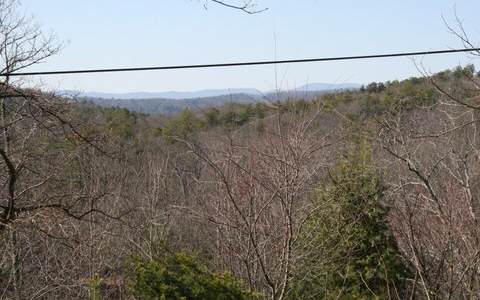 205 Choctaw Ridge Cherry Log, GA 30522 - Photo 1 of 1 Main View