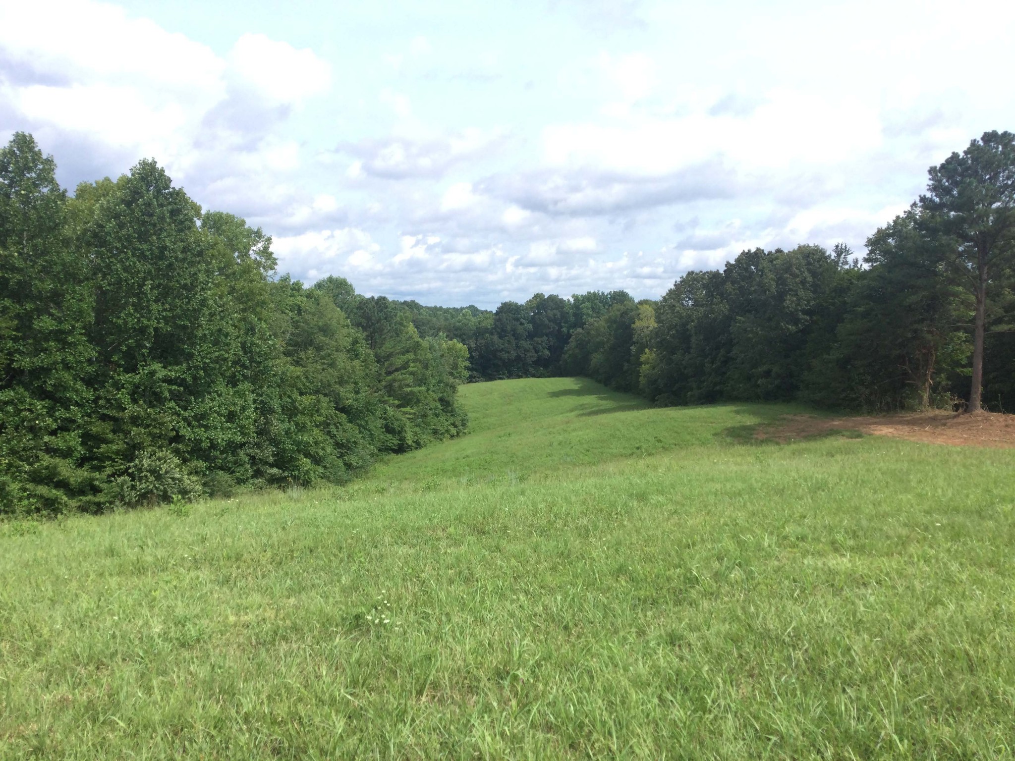 0 Young Ridge Road Sparta, TN 38583 - Photo 1 of 6 Gallery Image 1