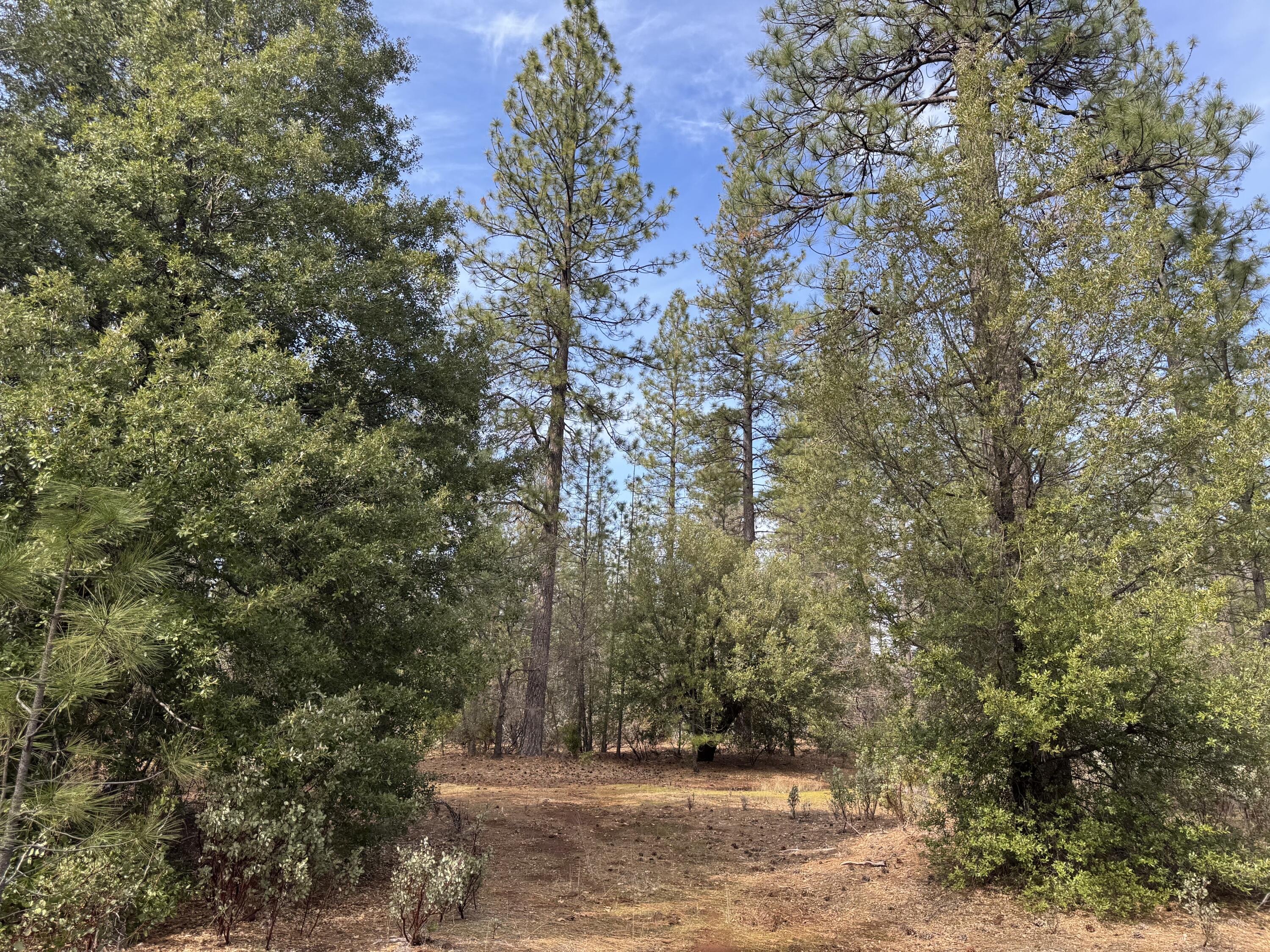 11 Whitmore Village Road Whitmore, CA 96096 - Photo 2 of 6 2