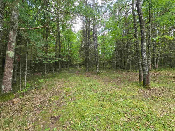 $289,000 | W7297 Amberg Wausaukee Road, Wausaukee, WI 54177