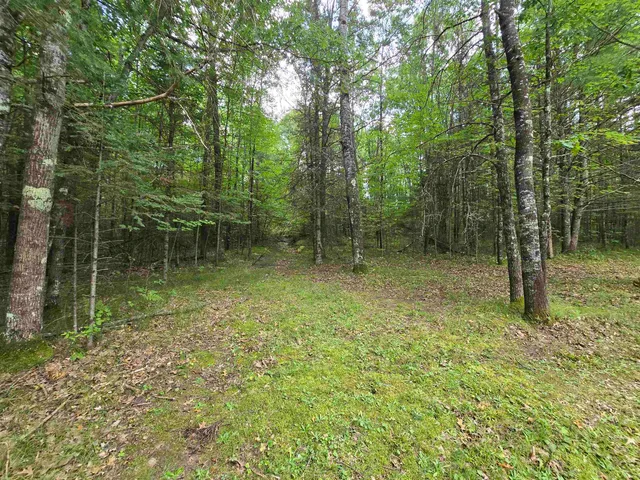 $289,000 | W7297 Amberg Wausaukee Road, Wausaukee, WI 54177