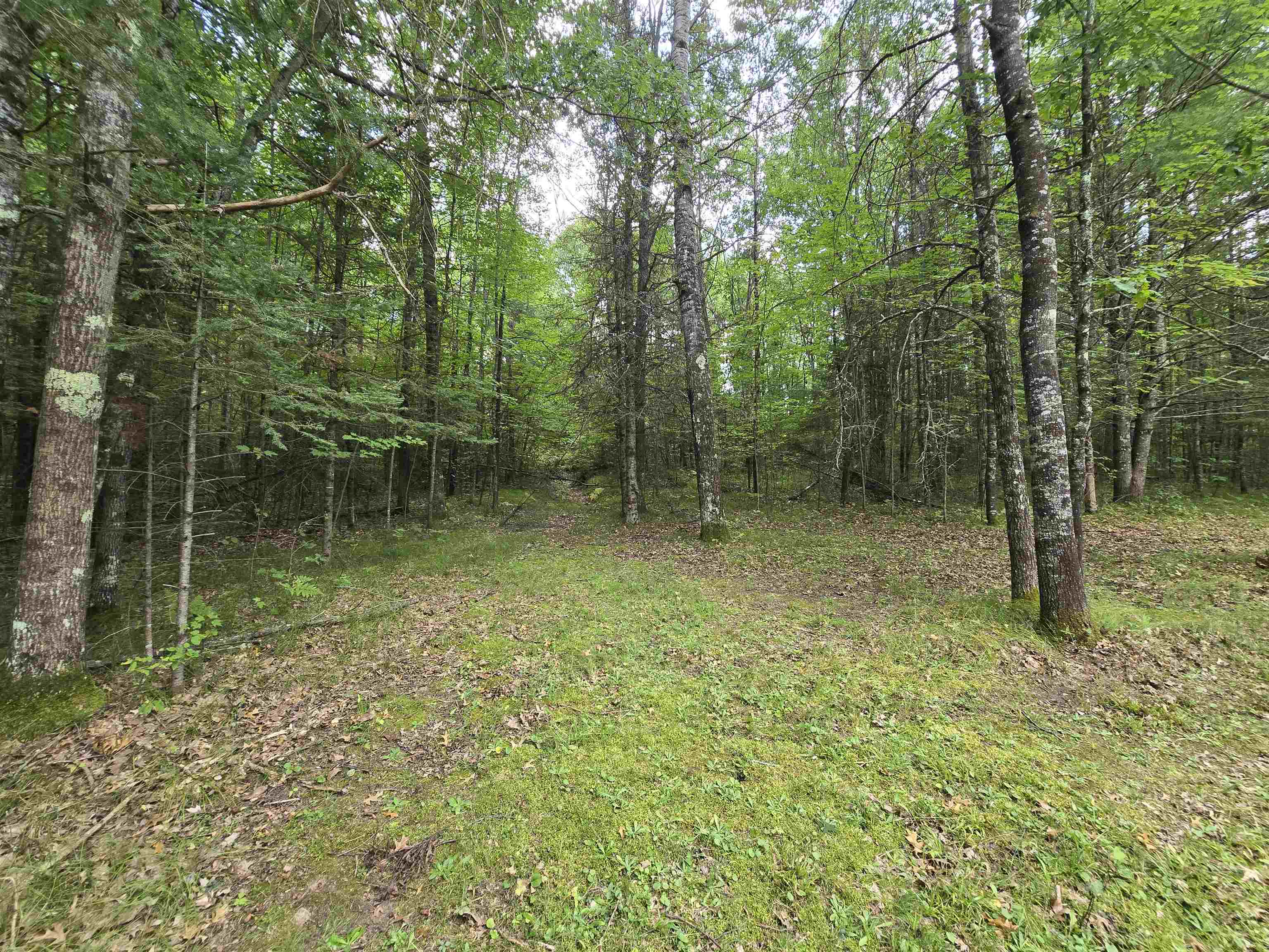 W7297 Amberg Wausaukee Road Wausaukee, WI 54177 - Photo 20 of 29