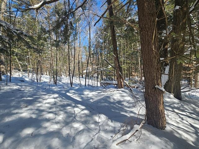 0 Peg Shop Road Keene, NH 03431 - Photo 11 of 19