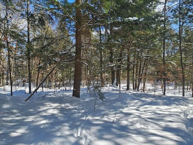 0 Peg Shop Road Keene, NH 03431 - Photo 12 of 19