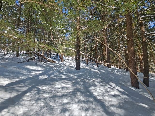 0 Peg Shop Road Keene, NH 03431 - Photo 14 of 19