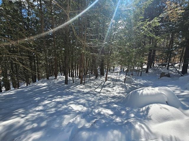 0 Peg Shop Road Keene, NH 03431 - Photo 16 of 19