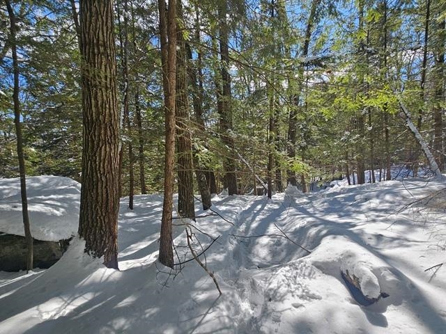 0 Peg Shop Road Keene, NH 03431 - Photo 17 of 19