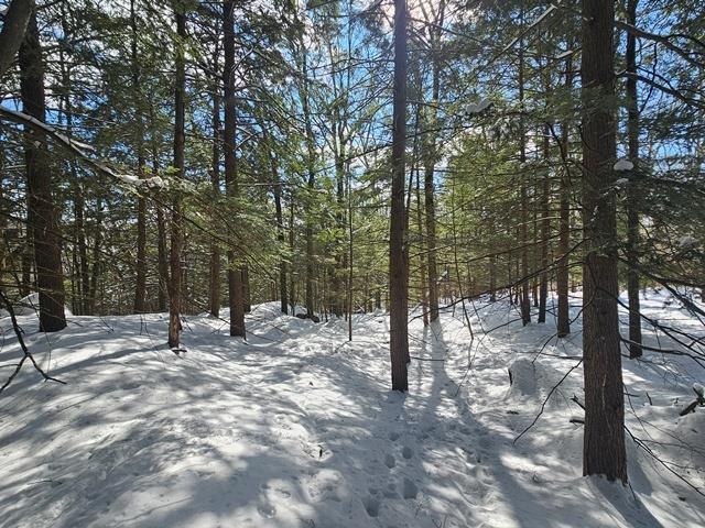 0 Peg Shop Road Keene, NH 03431 - Photo 18 of 19