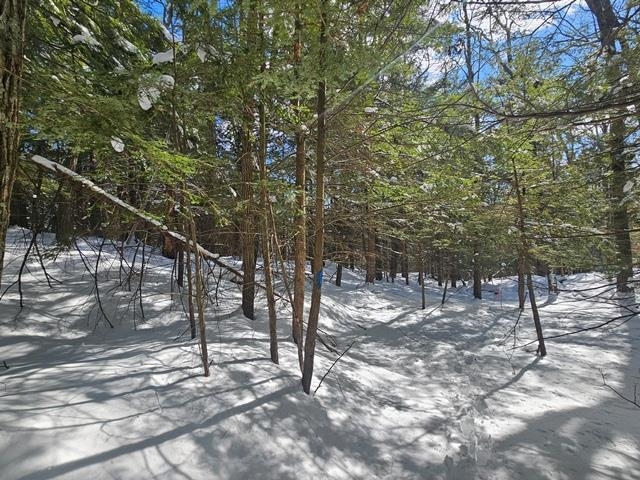 0 Peg Shop Road Keene, NH 03431 - Photo 19 of 19