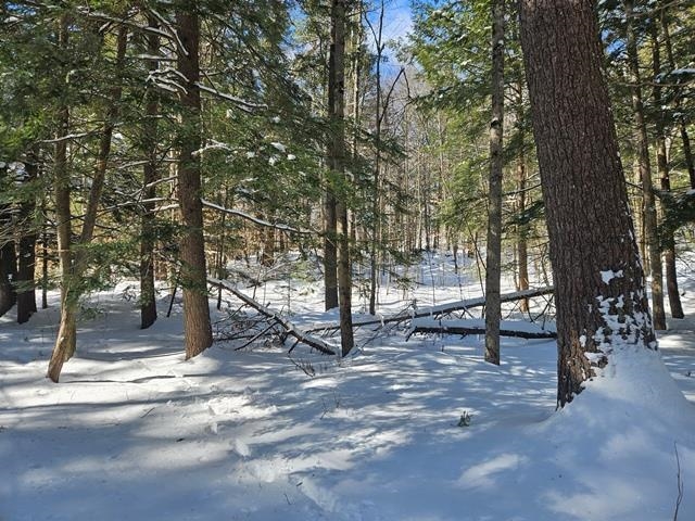 0 Peg Shop Road Keene, NH 03431 - Photo 4 of 19