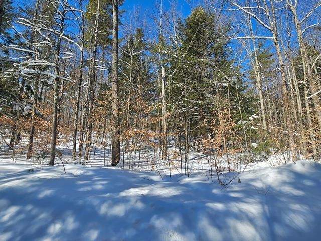 0 Peg Shop Road Keene, NH 03431 - Photo 9 of 19