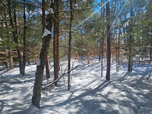 $120,000 | 0 Peg Shop Road, Keene, NH 03431