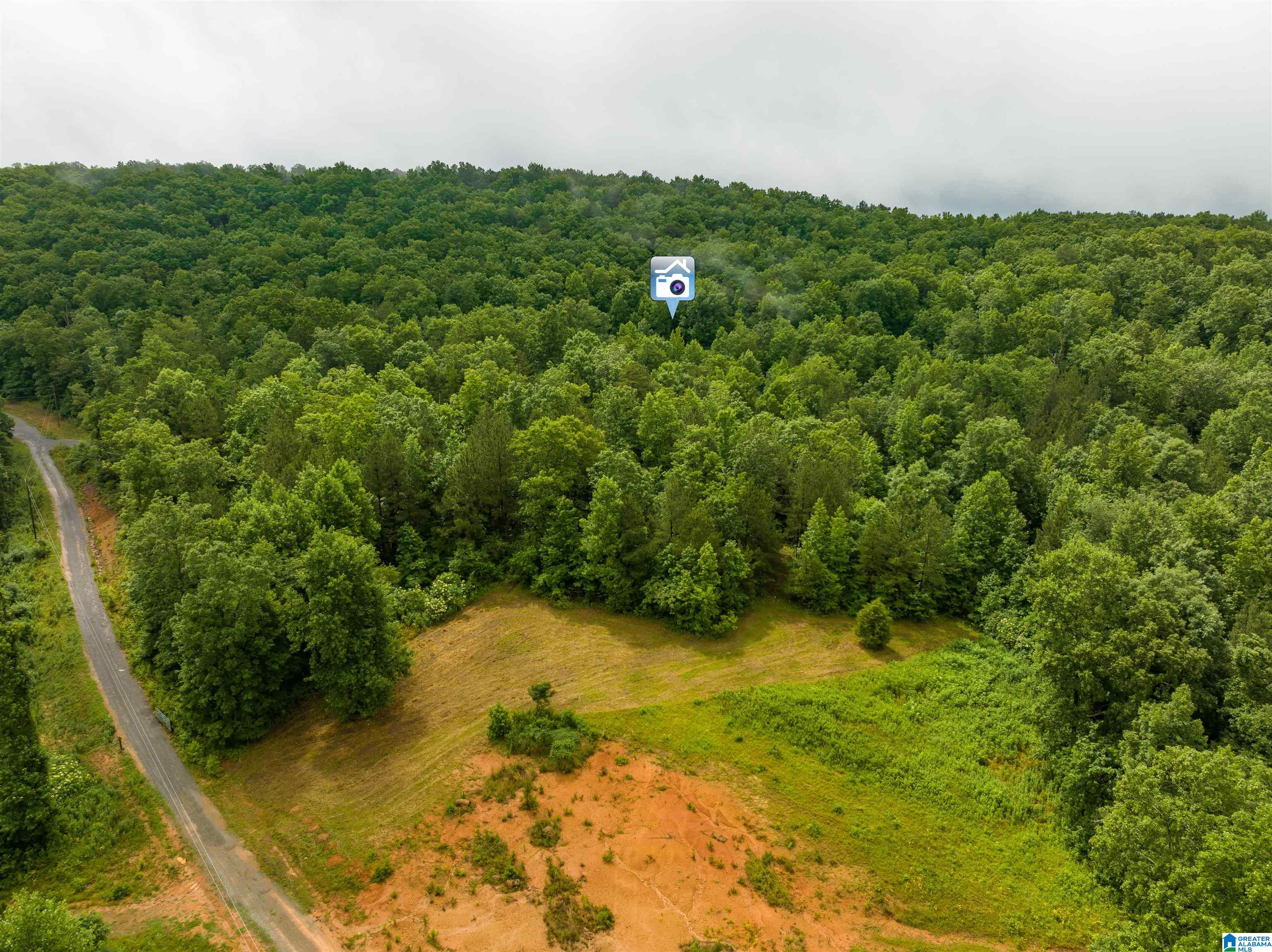 0 Crawford Cove Road Springville, AL 35146 - Photo 2 of 11