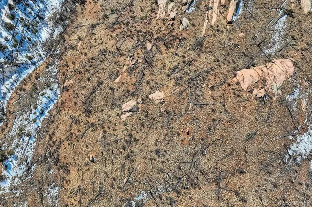 a close up of a wall with a tree