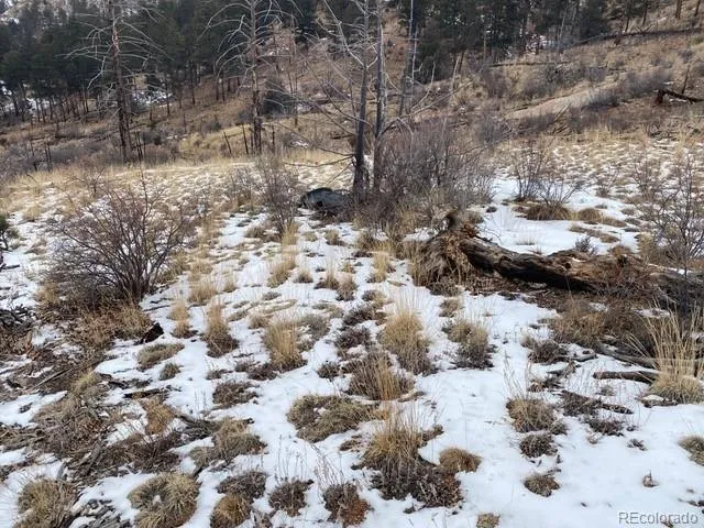 a view of a covered with snow on the road