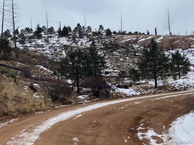 a view of a town with trees
