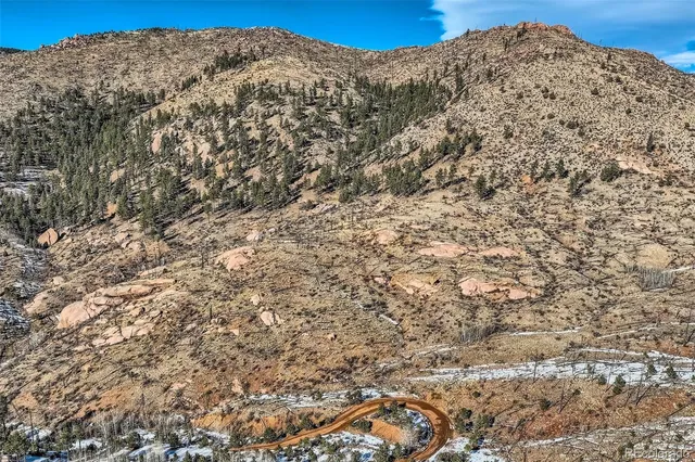 a view of a large tree
