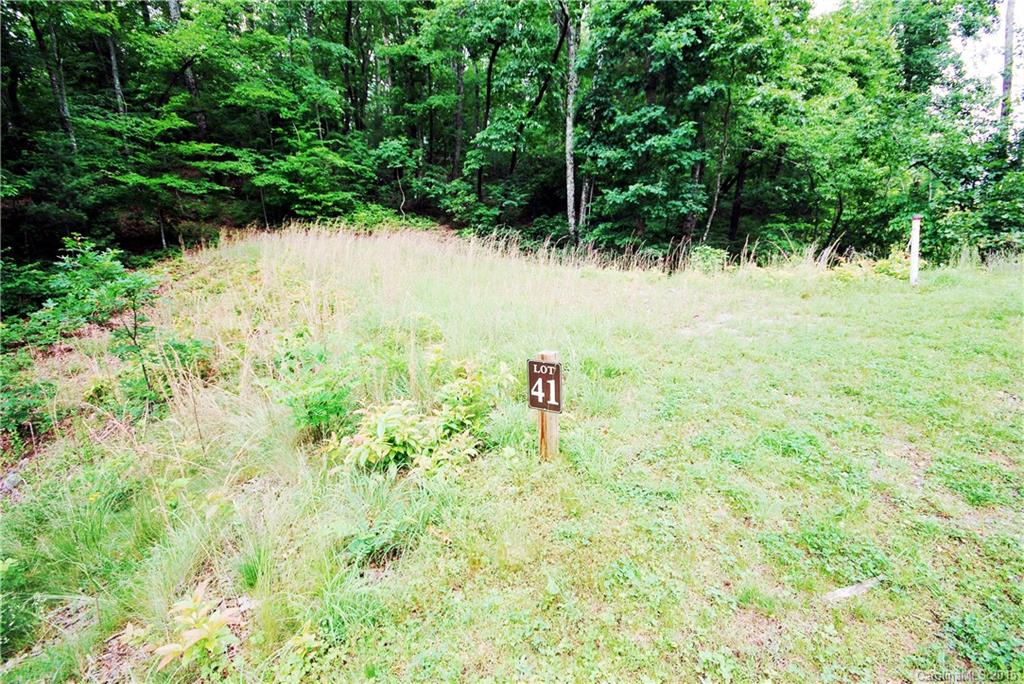 41 Pepperbush Road, Unit 41 Brevard, NC 28712 - Photo 2 of 17 Gallery Image 2