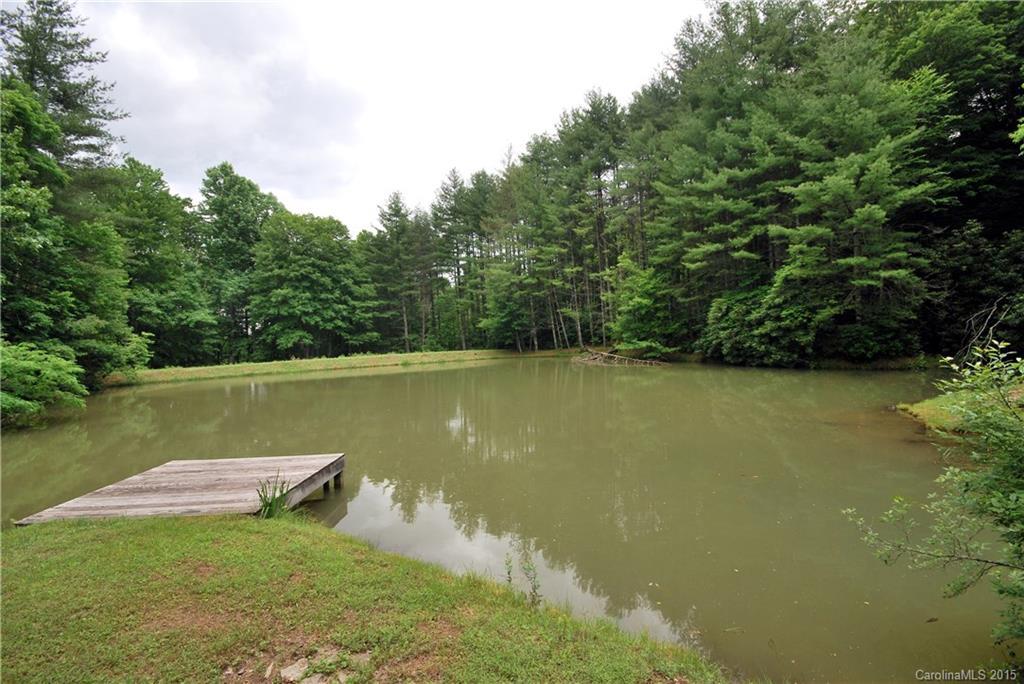 41 Pepperbush Road, Unit 41 Brevard, NC 28712 - Photo 11 of 17 Gallery Image 11
