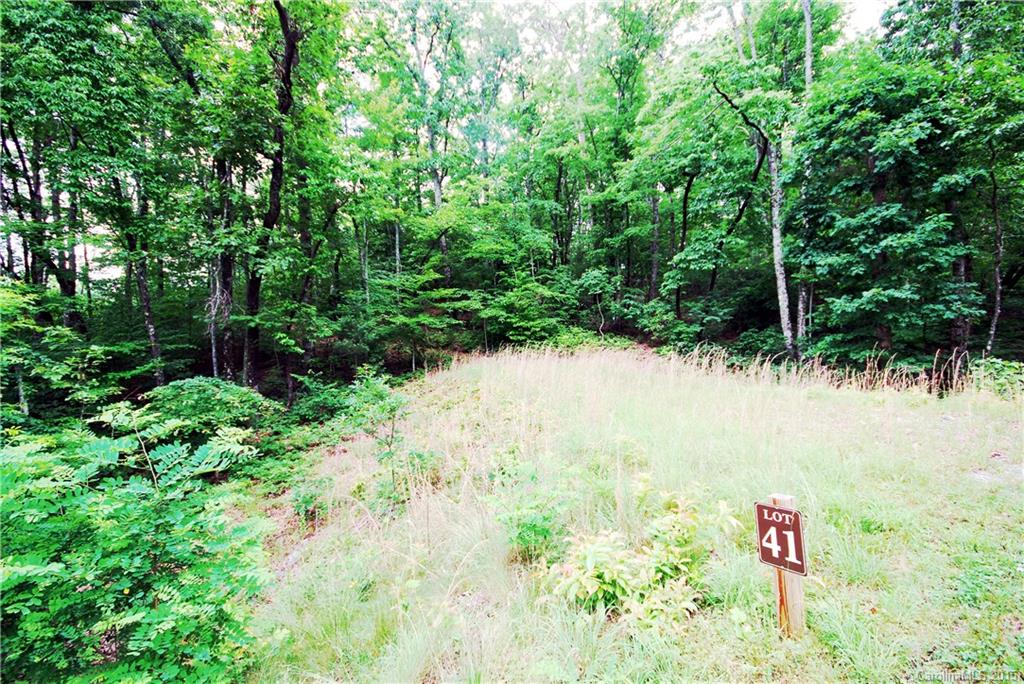 41 Pepperbush Road, Unit 41 Brevard, NC 28712 - Photo 4 of 17 Gallery Image 4