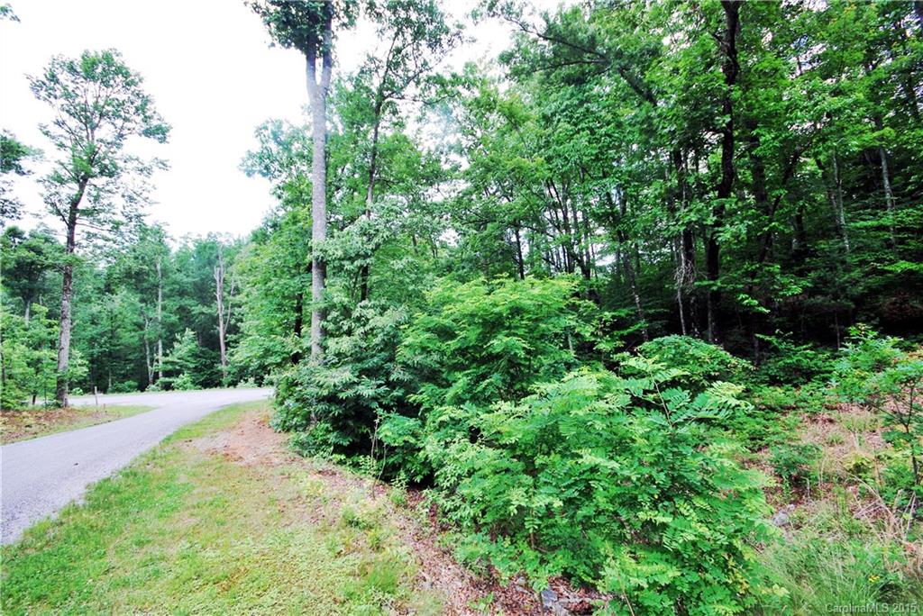 41 Pepperbush Road, Unit 41 Brevard, NC 28712 - Photo 5 of 17 Gallery Image 5
