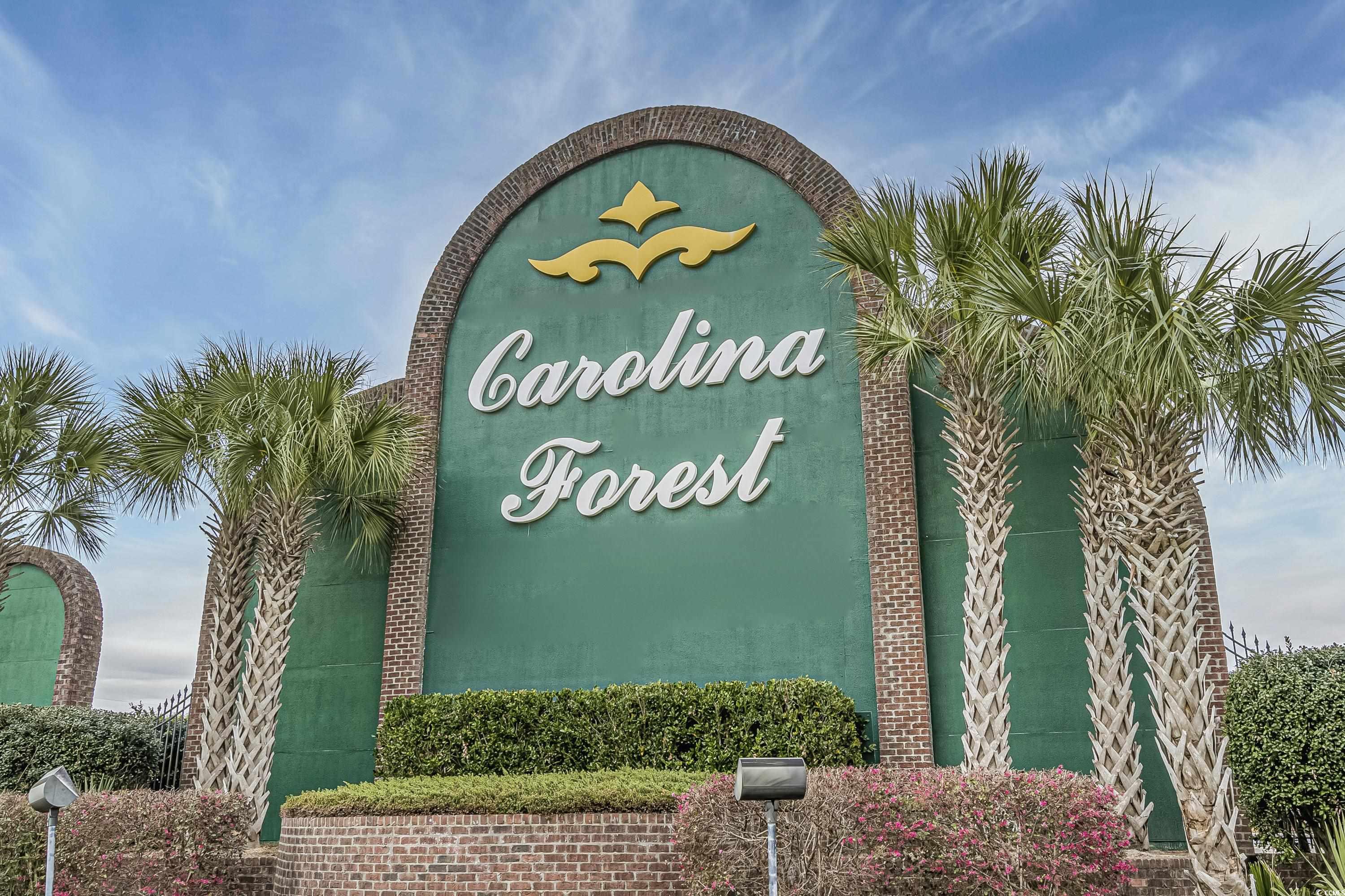 227 Turning Pines Loop Myrtle Beach, SC 29579 - Photo 34 of 37 Gallery Image 34