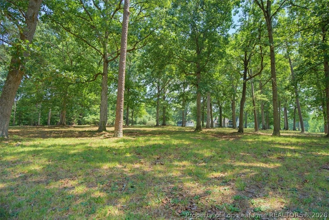 3055 Cedar Hill Road Robbins, NC 27325 - Photo 48 of 50 Gallery Image 48