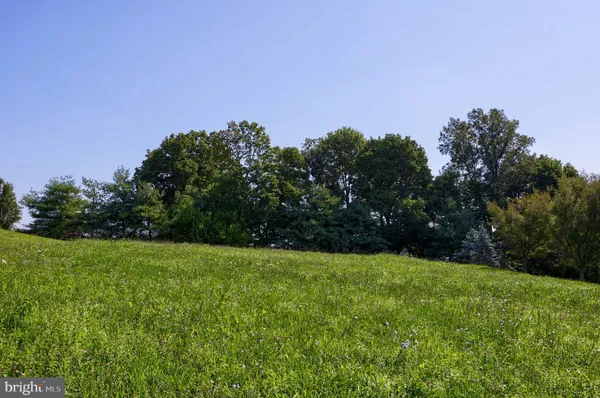 a view of a field with trees in the background