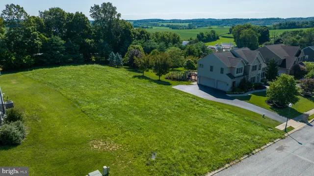 a view of yard with green space