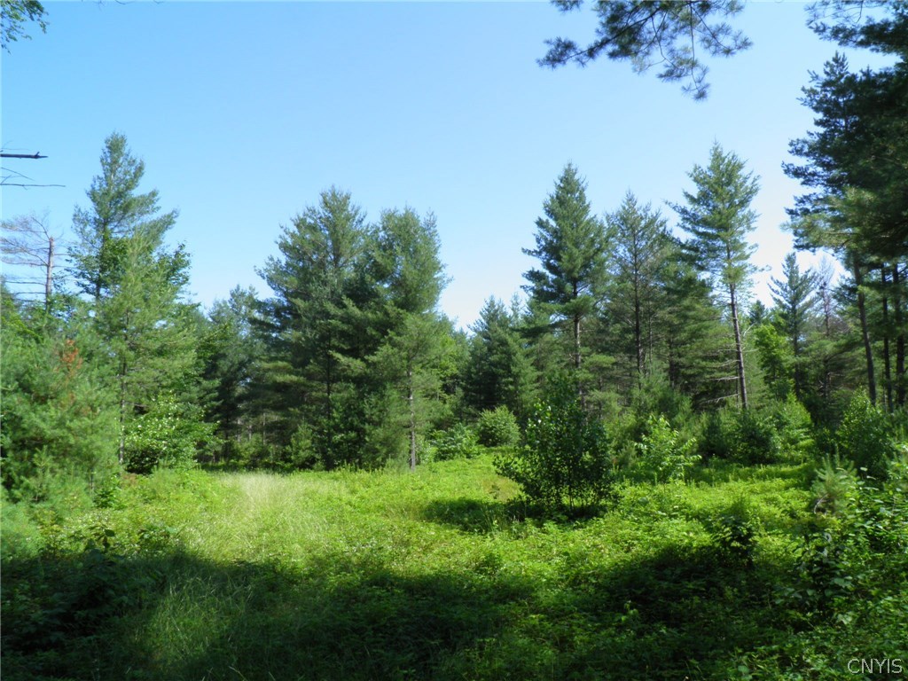 0 Abbey Road Brantingham, NY 13312 - Photo 1 of 30 Gallery Image 1