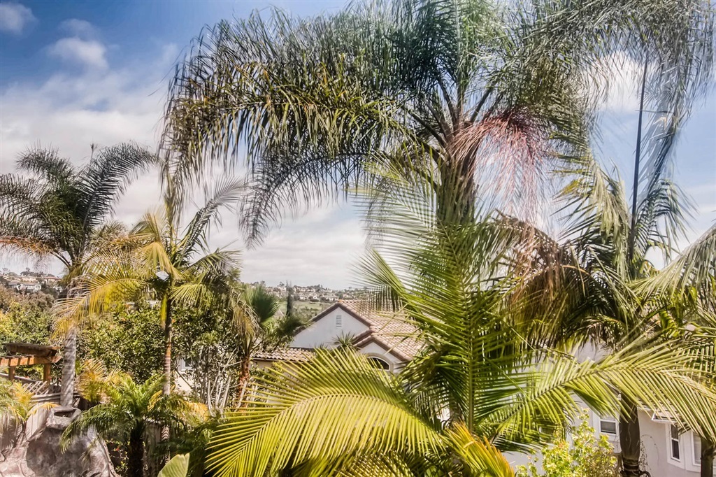 1143 Alexandra Lane Encinitas, CA 92024 - Photo 23 of 25 Gallery Image 23