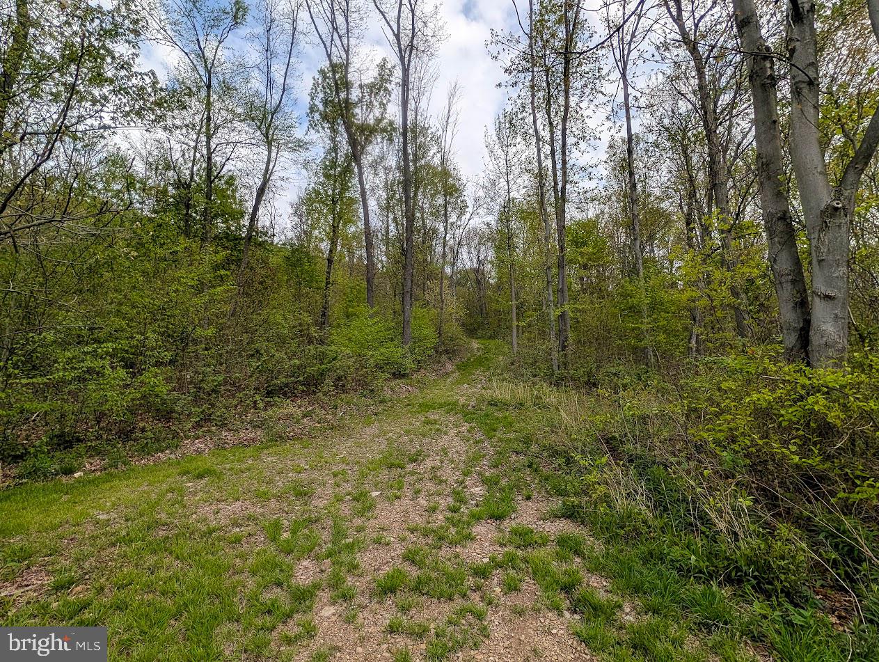 119 Heavens Vw Road Schellsburg, PA 15559 - Photo 20 of 35